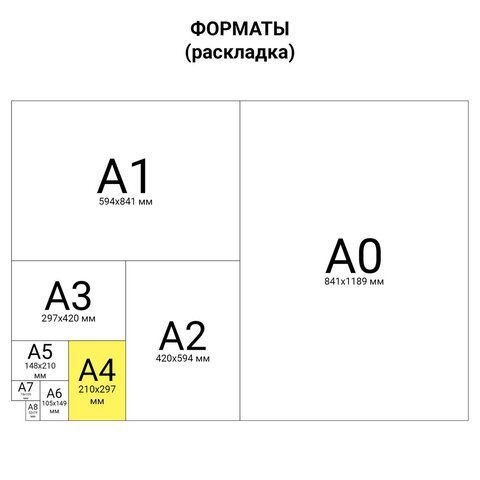 Бланк Авансовый отчет нов.образца (100шт) 1/10