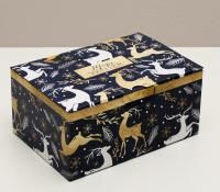 НГ Подарочная коробка 22х15х10см Новогоднее волшебство 1/100 НГ Подарочная коробка 22х15х10см Новогоднее волшебство 1/100