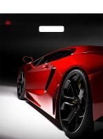 Пакет с вырубной ручкой (38х45)-60 Автошик Тико 50/500 Пакет с вырубной ручкой (38х45)-60 Автошик Тико 50/500