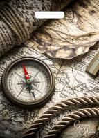 Пакет с вырубной ручкой (31,5х43)-50 Грэй Глосс Карта Тико 50/500 Пакет с вырубной ручкой (31,5х43)-50 Грэй Глосс Карта Тико 50/500