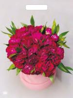 Пакет с вырубной ручкой (31х40)-60 Букет пионов Тико 50/500 Пакет с вырубной ручкой (31х40)-60 Букет пионов Тико 50/500