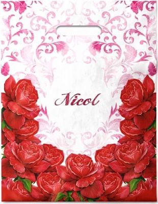 Пакет с вырубной ручкой (31х40)-60 Николь ламинат 50/500  Пакет с вырубной ручкой (31х40)-60 Николь ламинат 50/500