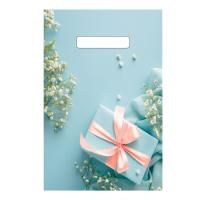 Пакет с вырубной ручкой (20х30)-30 Голубая мечта 100/3000 