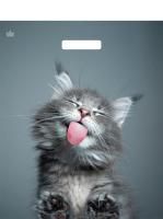 Пакет с вырубной ручкой (31х40)-60 Кот Сима Тико 50/500 Пакет с вырубной ручкой (31х40)-60 Кот Сима Тико 50/500