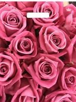 Пакет с вырубной ручкой (31х40)-60 Джейми ламинат Тико 50/500 Пакет с вырубной ручкой (31х40)-60 Джейми ламинат Тико 50/500