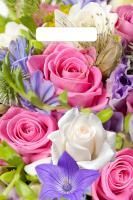 Пакет с вырубной ручкой (20х30)-30 Лирика 100/3000 Пакет с вырубной ручкой (20х30)-30 Лирика 100/3000