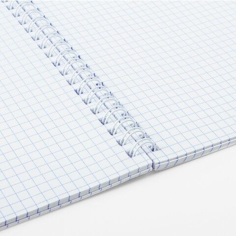 Тетрадь 48л А5 клетка гребень обложка картон Nature BRAUBERG 1/4/96