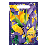 Пакет с вырубной ручкой (20х30)-30 Строгий ирис Нео-Пак 100/3000  Пакет с вырубной ручкой (20х30)-30 Строгий ирис Нео-Пак 100/3000