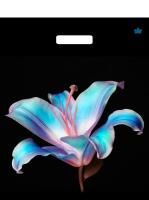 Пакет с вырубной ручкой (38х45)-60 Лила ламинат Тико 50/500 Пакет с вырубной ручкой (38х45)-60 Лила ламинат Тико 50/500