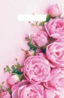 Пакет с вырубной ручкой (20х30)-30 Ненси 100/3000 Пакет с вырубной ручкой (20х30)-30 Ненси 100/3000