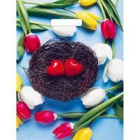 Пакет с вырубной ручкой (31х40)-60 Триумф глянец 50/1000 Пакет с вырубной ручкой (31х40)-60 Триумф глянец 50/1000