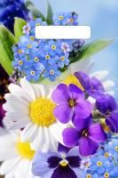 Пакет с вырубной ручкой (19х25)-30 Яркое лето 100/3000