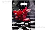 Пакет с вырубной ручкой (31х40)-60 Гармония ламинат Тико 50/500 Пакет с вырубной ручкой (31х40)-60 Гармония ламинат Тико 50/500