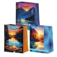 Пакет подарочный бумажный (26,4х32,7x13,6) ламинир мужской микс 1/12/240