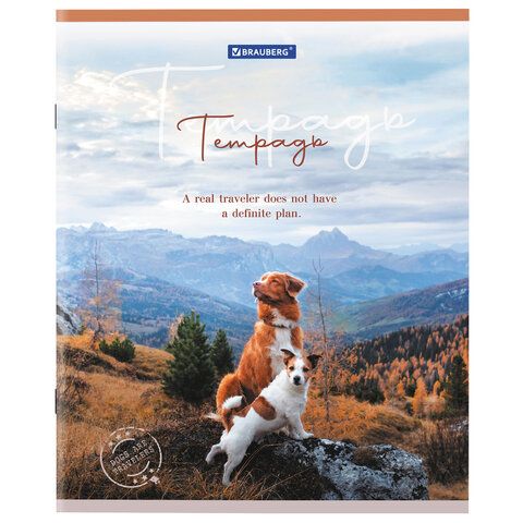 Тетрадь 48л А5 клетка Best Friends BRAUBERG 10/100