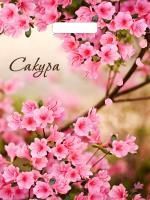 Пакет с вырубной ручкой (31х40)-60 Яркая сакура ламинат Тико 50/500 Пакет с вырубной ручкой (31х40)-60 Яркая сакура ламинат Тико 50/500