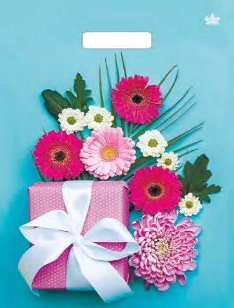 Пакет с вырубной ручкой (31х40)-60 Подарочная композиция ламинат Тико 50/500 Пакет с вырубной ручкой (31х40)-60 Подарочная композиция ламинат Тико 50/500